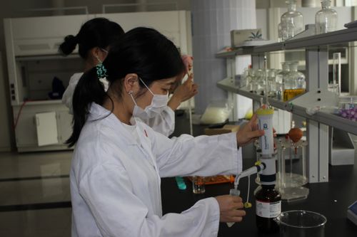 敘州區舉辦農產品安全檢測技術培訓，筑牢食品安全防線