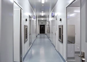 奉賢電子廠與食品廠裝修及軟件開(kāi)發(fā) 現(xiàn)代產(chǎn)業(yè)升級(jí)的融合路徑